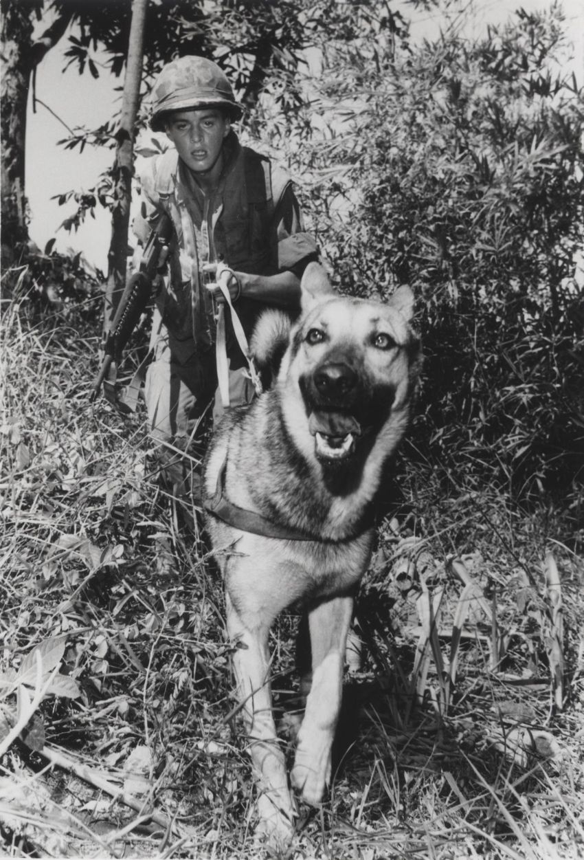 Carl Pedrotti and Scout Dog 'Wotan', 11 July 1968 